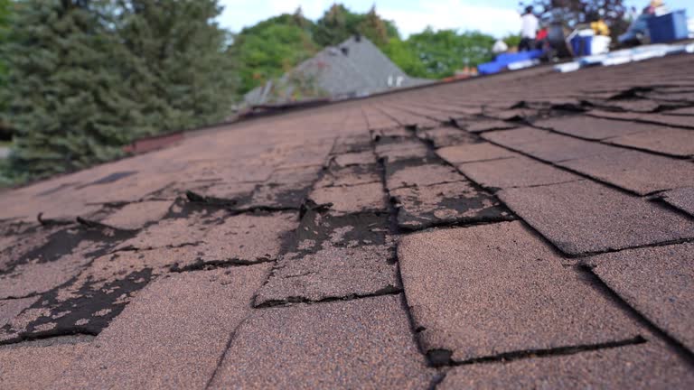 Best Steel Roofing  in Fifth Ward, LA