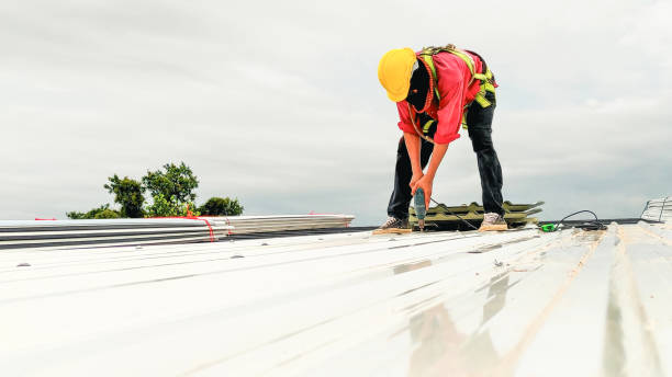 Best Skylight Installation and Repair  in Fifth Ward, LA